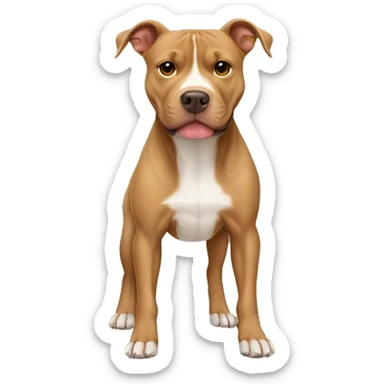 light brown american pitbull terrier with full light brown body, without white spot sticker