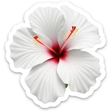 White hibiscus flower sticker