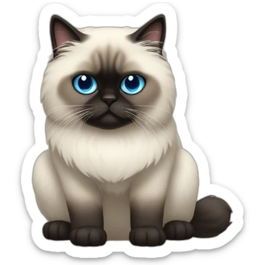 himalayan cat dj blue eyes dark face full body sticker