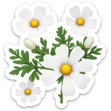 cosmos white flower sticker