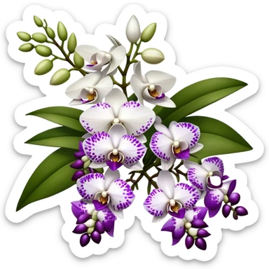 big bouquet white purple Rhynchostylis Orchid, stem, leaf, luxuriant sticker