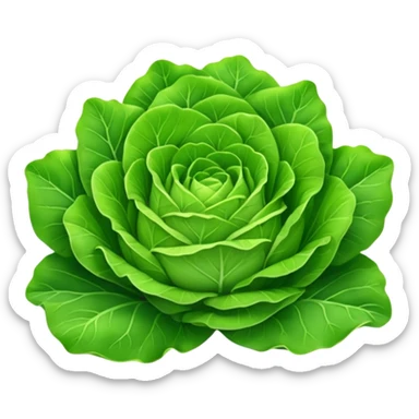 gentile lettuce thin leaves sticker