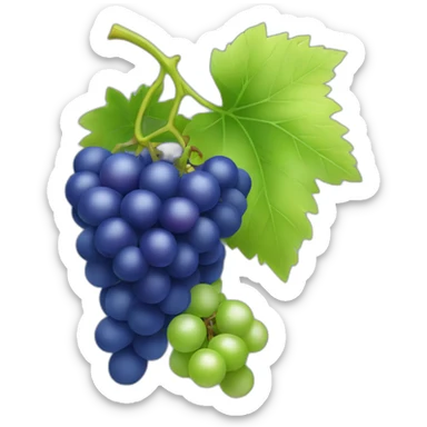 green and blue color grapes sticker