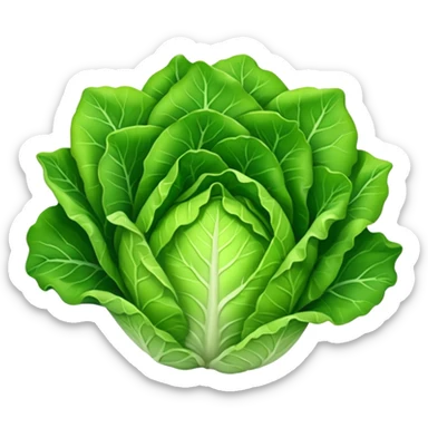 lettuce vegetable sticker