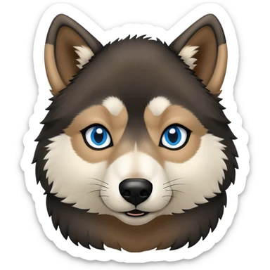 Wooly agouti husky with blue eyes and some black fur sticker