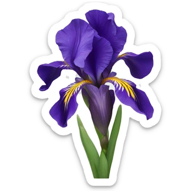 iris flower sticker