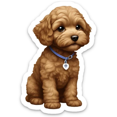 Golden dark brown maltipoo puppy sticker