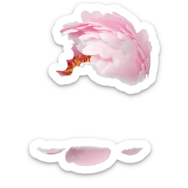 baby pink peony bouquet  sticker