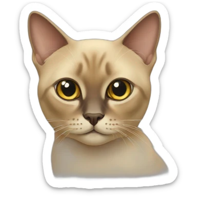 burmese cat sticker