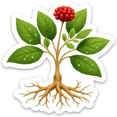 Add one fruit, a sprinkle, and two leaves to the wild ginseng plant. Keep the background transparent. Maintain the style of the original image. sticker