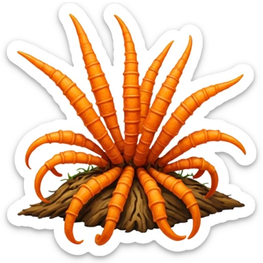 Cordyceps mushrooms sticker