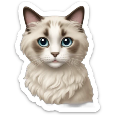 Ragdoll cat with curly girl sticker