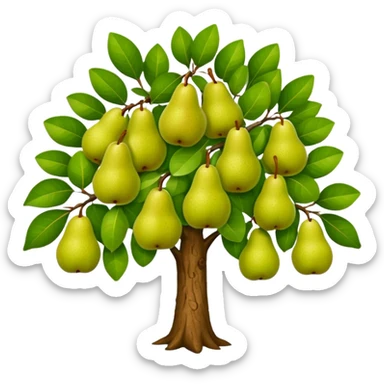 Pear Tree sticker