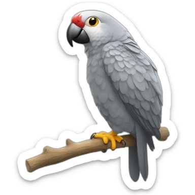 Perroquet Gris du gabon sur chat sticker
