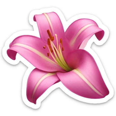 Pink lilly flower sticker