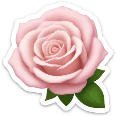 a bouquet of light pink rose sticker