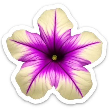 petunia mexicana flower sticker