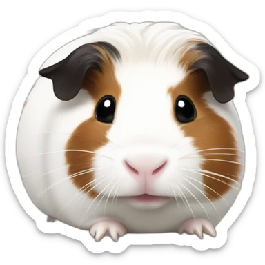 White Guinea pig with large black and brown spots sticker