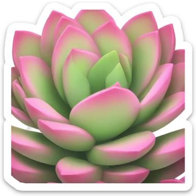 Pink succulent sticker