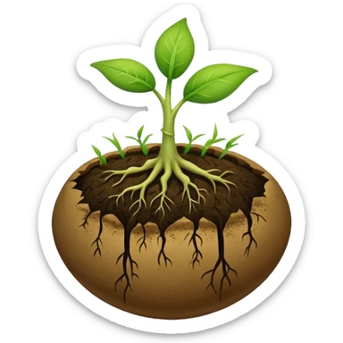 A seed germinating with a sprout sticking out of it  sticker