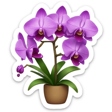 orchid sticker