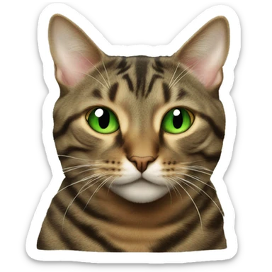 Green-eyed brown tabby cat smoking weed sticker
