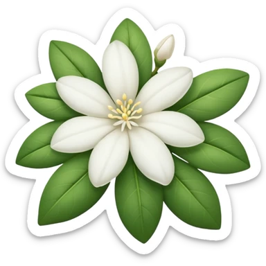 White jasmine flower emoji sticker