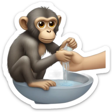 monkey-washing-hands-with-soap sticker