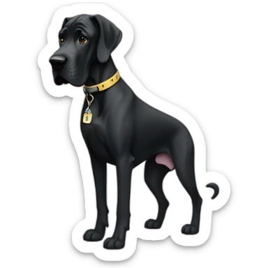 An all black great dane wearing a collar with number 17 sticker