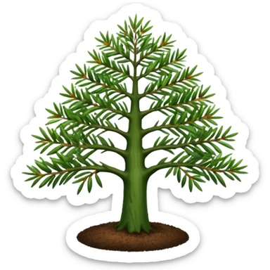 Tea tree sticker