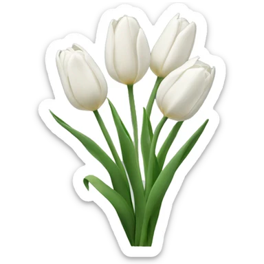 Withe tulips  sticker
