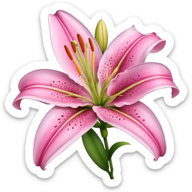 Pink lily flower sticker