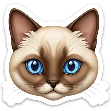 A siamese cat with blue eyes, laying down sticker