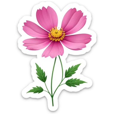cosmos flower  sticker