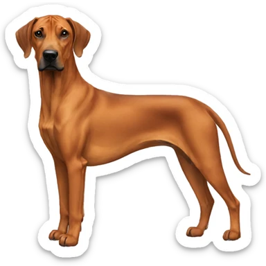 Rhodesian Ridgeback sticker