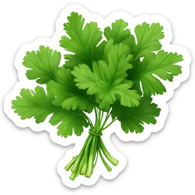 Cilantro  sticker