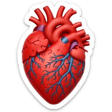 coracao anatomico inchado sticker