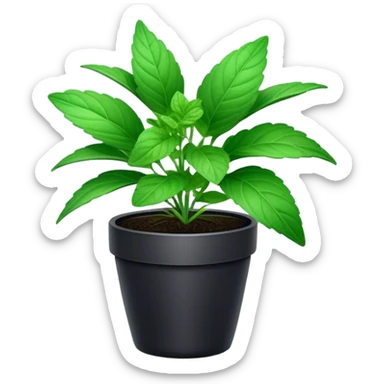 Cinematic Realistic Mint Emoji, Fresh and lively, with deep green leaves covered in tiny veins, emanating a cool, refreshing aroma. The plant’s soft, rounded edges sway gently in the breeze, inviting calm and relaxation. Soft glowing outline, capturing the essence of freshness and cooling fragrance in a fragrant mint plant! sticker