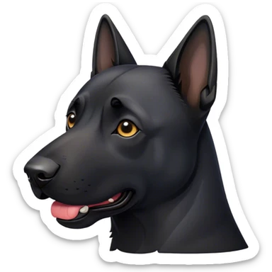 Malinois couleur noir   sticker