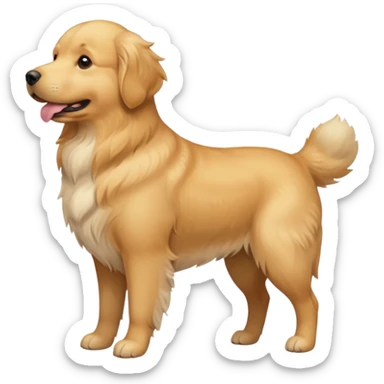 pregnant golden dog sticker