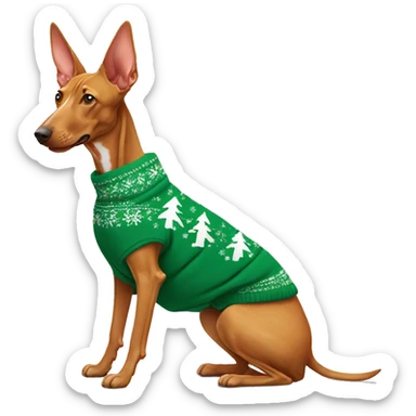 Pharaoh Hound wearing christmas Sweatshirt  sticker
