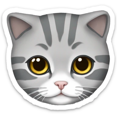 Scottish fold cat in grey white stripes sticker