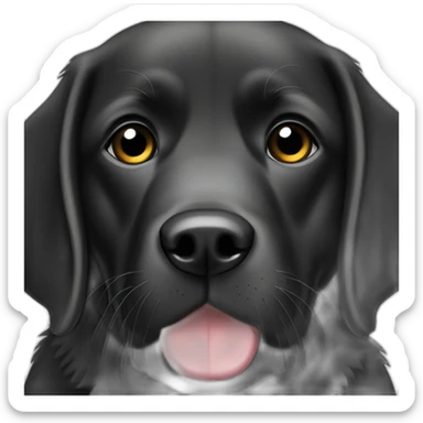 Un labrador noir qui fais un bisous sticker