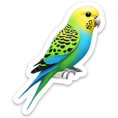 Budgie having a poop sticker