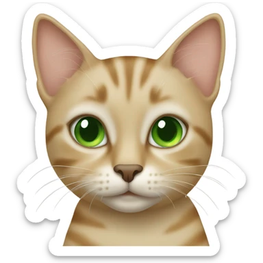 Beige tabby cat with green eyes sticker