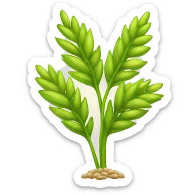 barley plant sticker
