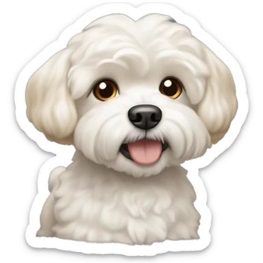 Shitzu Bichon friz dog mix that is cream colored with slightly orange ears.  sticker