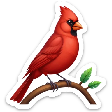 Red Cardinal bird  sticker