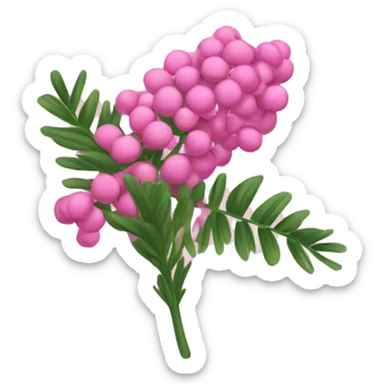 pink mimosa sticker
