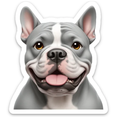 Gray American bully with ears cropped ￼ sticker